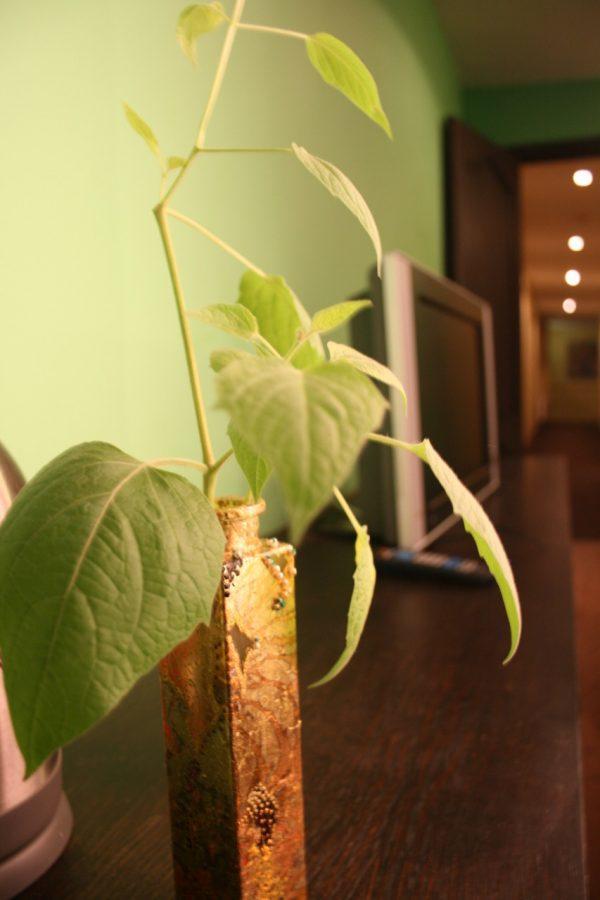 Hotel Evaline Riga Bagian luar foto
